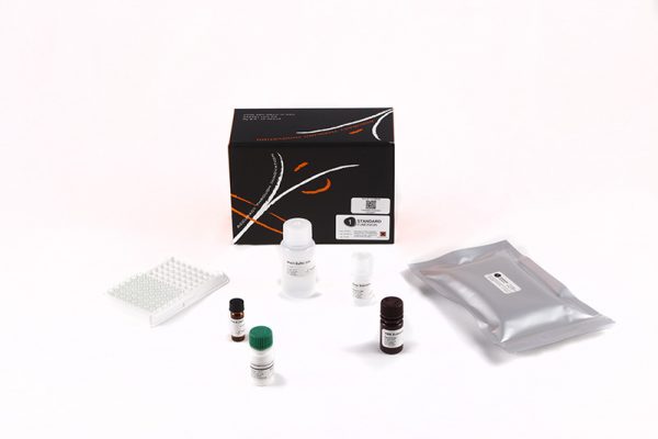 1-Standard Fumonisin - Image 2