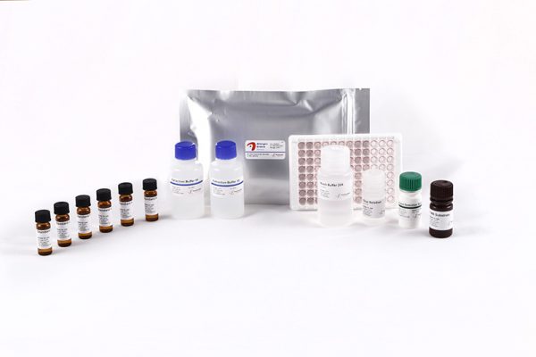 Allergen-Shield Almond - Image 2