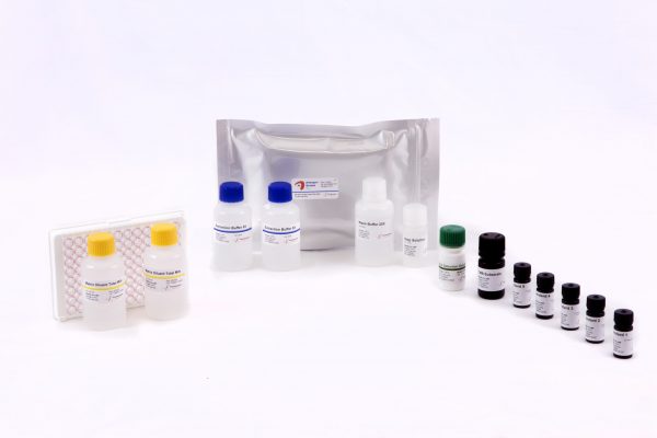 Allergen-Shield Casein - Image 2