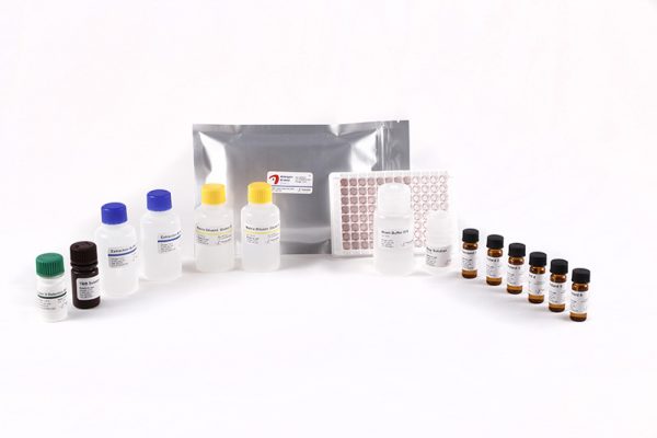 Allergen-Shield Gluten S - Image 2