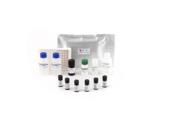 Allergen-Shield Lupin - Image 2