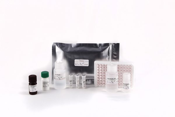 Bio-Shield 2019-nCoV IgA - Image 2