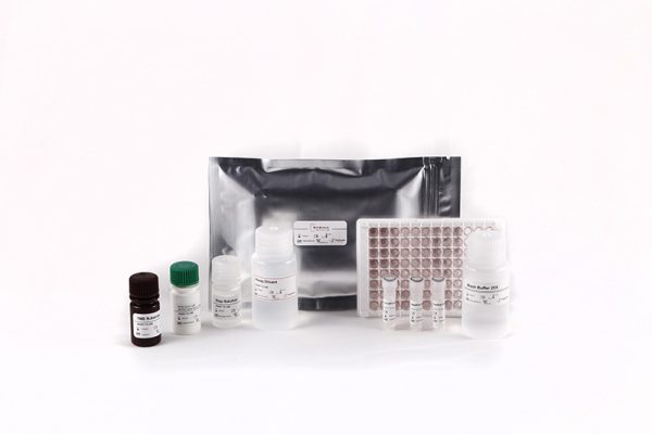 Bio-Shield 2019-nCoV IgM - Image 2