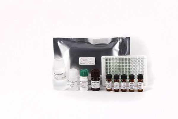 Bio-Shield B1 5 - Image 2