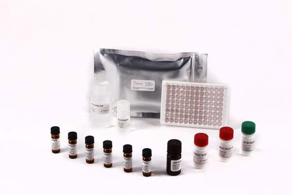 Bio-Shield Aflatoxin B1 Baby Food (BF) - Image 2