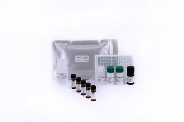 Bio-Shield Deoxynivalenol (DON) - Image 2