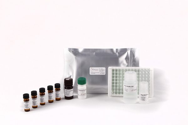 Bio-Shield T-2/HT-2 8 - Image 2
