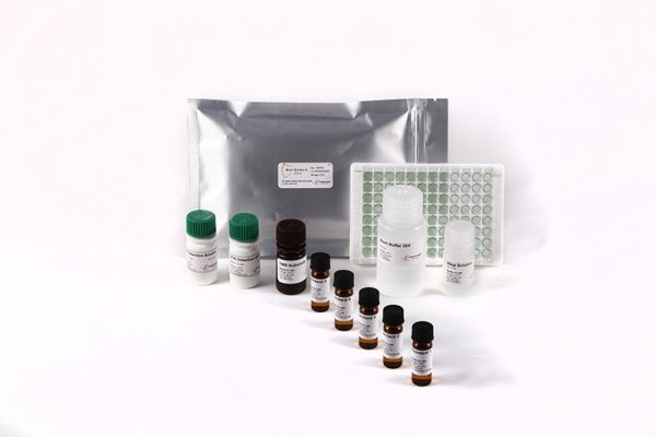 Bio-Shield Zearalenone (ZON) - Image 2