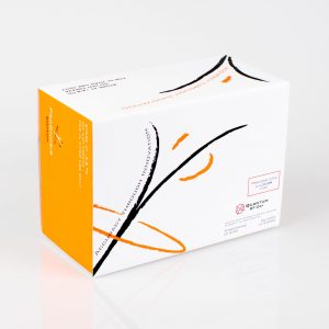 Quantum BT-Cef