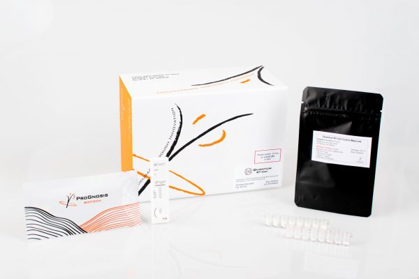 Quantum BT-Cef - Image 3