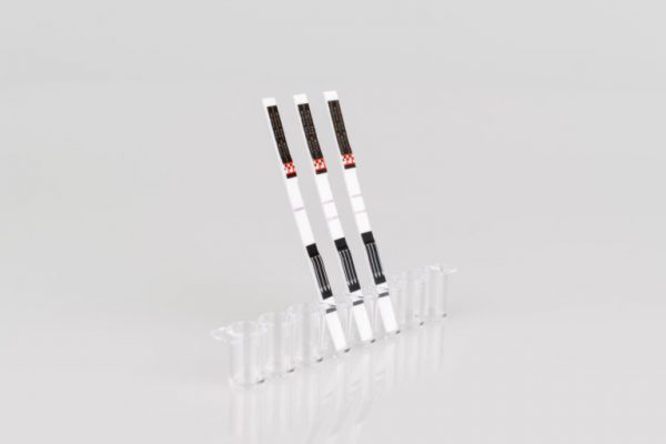 Rapid Test Goat Quantitative - Image 3