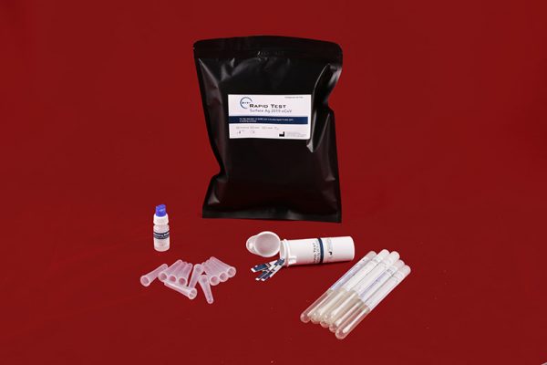 Rapid Test Surface Ag 2019-nCoV - Image 2