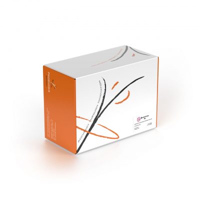 Quantum BL