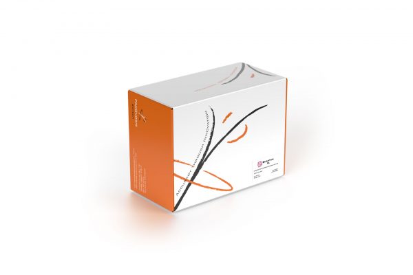 Quantum_BL_Box