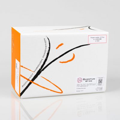 Quantum BT-CC